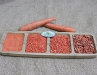 dried carrot