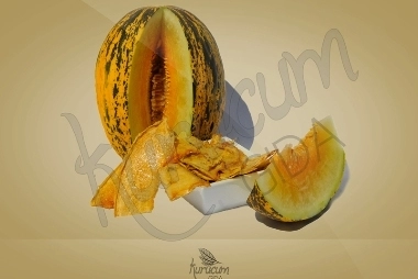 Kuru kavun
