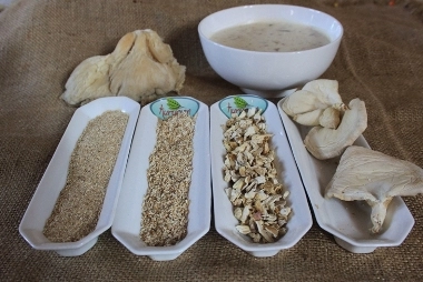 Kurutulmuş istiridye mantarı