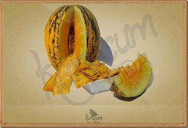 dried melon